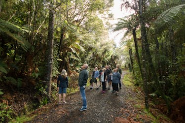 Wilderness Experience half-day nature tour